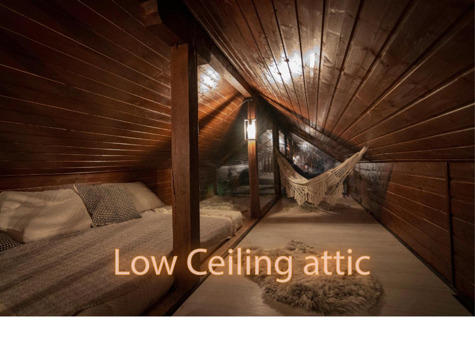 Theattic Chalet Corbeni
